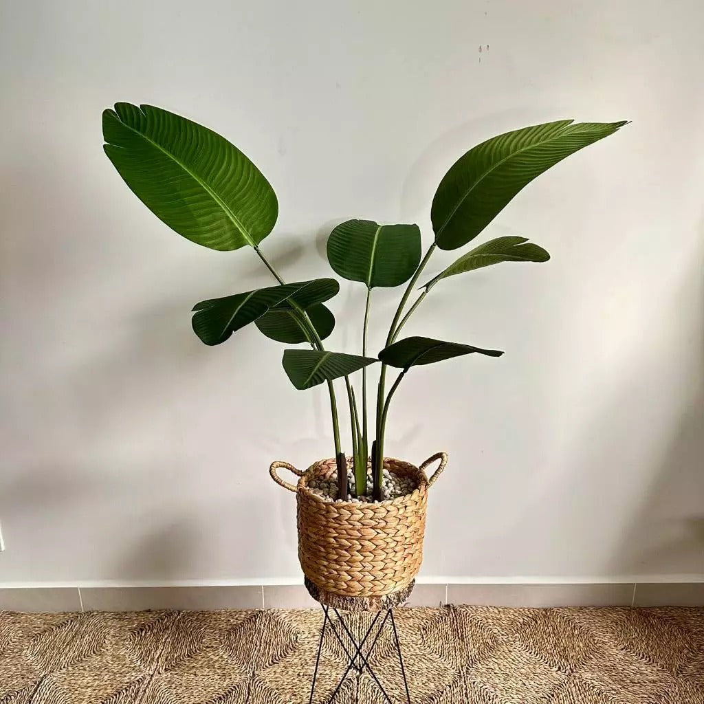 Handwoven Seagrass Basket with Handles – Natural Woven Storage Basket, Boho Plant Pot Cover, Eco-Friendly Home Organizer for Living Room & Bedroom